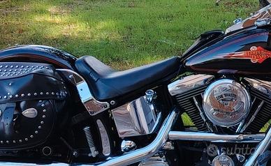 SELLA LE PERA HARLEY-DAVIDSON SOFTAIL 