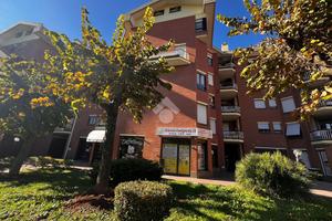 NEGOZIO A ALBANO LAZIALE