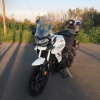 Triumph Tiger 800 - 2019