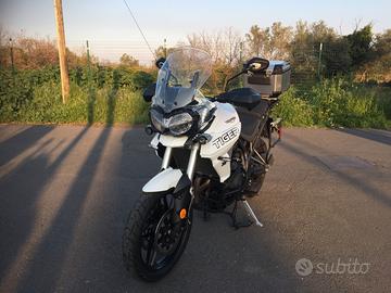 Triumph Tiger 800 - 2019