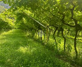 TERRENO A NAGO-TORBOLE