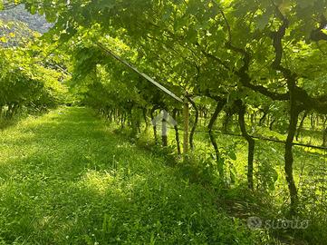 TERRENO A NAGO-TORBOLE