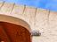 Immagine 23