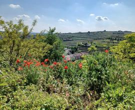 Terreno a Colognola ai Colli (VR)