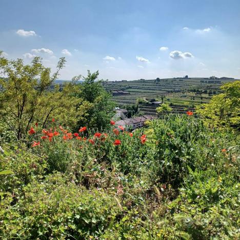 Terreno a Colognola ai Colli (VR)