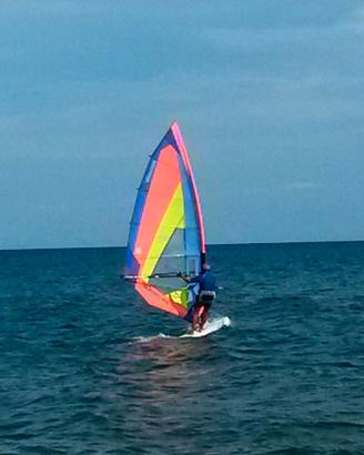 vela windsurf 6,5
