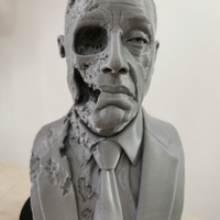 Mezzo Busto Gus Fring Breaking Bad 15/20/25/30cm