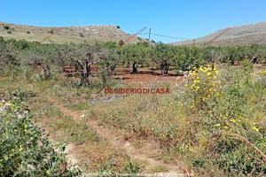 Terreno, Custonaci.