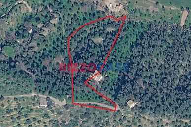 Terreno agricolo - Corigliano-Rossano
