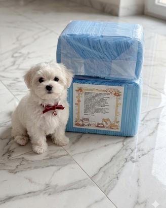 Traverse Cani 60x60 cm - Confezione Nuova pezzi 80