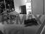 Immagine 21