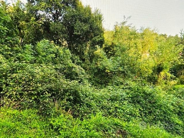 Terreno bosco misto - Vista 4