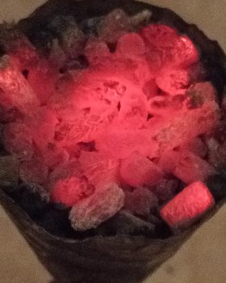 Biochar Carbone Vegetale per Giardino e Fonderia