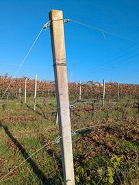 Pali in cemento per vigneto e recinzioni