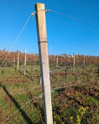 Pali in cemento per vigneto e recinzioni