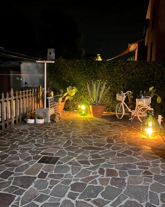 Coppia di antiche damigiane da vino disinfettate