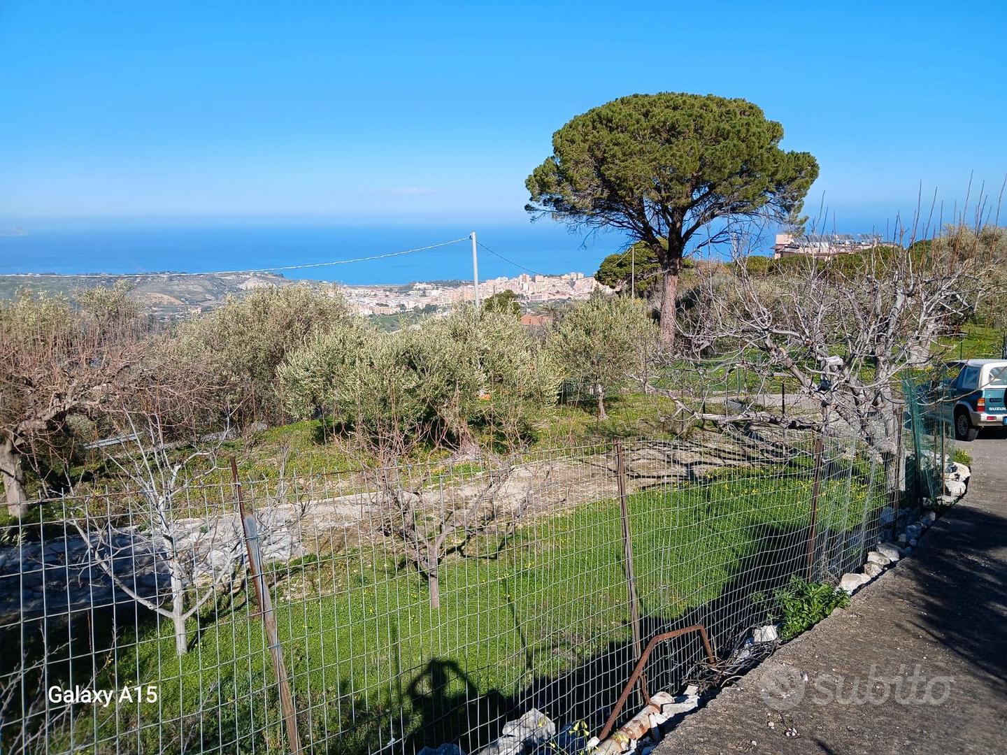 terreno attivato ad uliveto e rudere - Vista 5