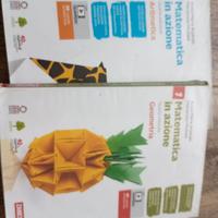 Matematica in azione 1 e geometria in azione