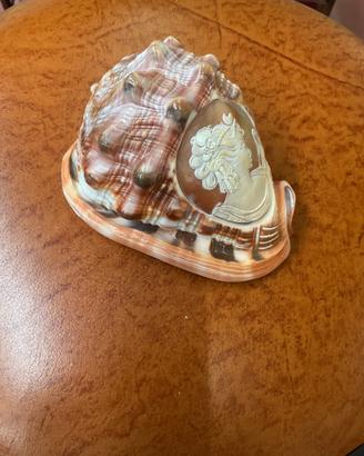 cammeo inciso a mano su una conchiglia