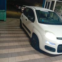 panda anno 2014 1.2 Tuinar già fatto cancellazione