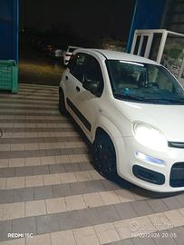 panda anno 2014 1.2 Tuinar già fatto cancellazione