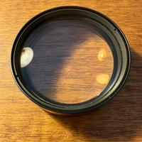 Olympus IS/L lens A-LIFE size macro H.Q. converter