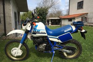 suzuki dr600