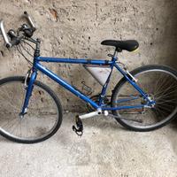 Montanbike