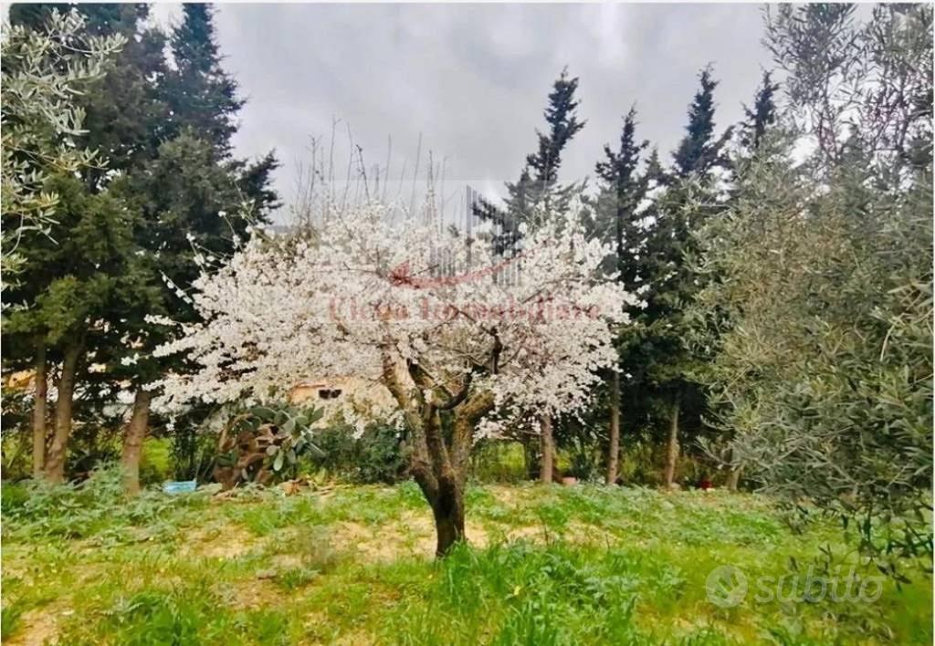 Terreno di 2600 m² a Alcamo - Vista 4