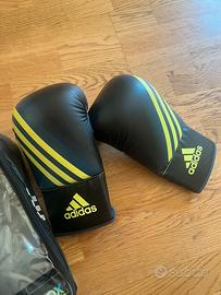 Guanti boxe e kick boxe guantoni pugilato
