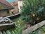 Immagine 16
