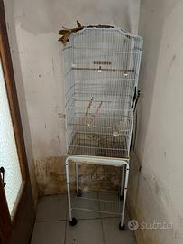 Gabbia a torre per pappagalli con carrello