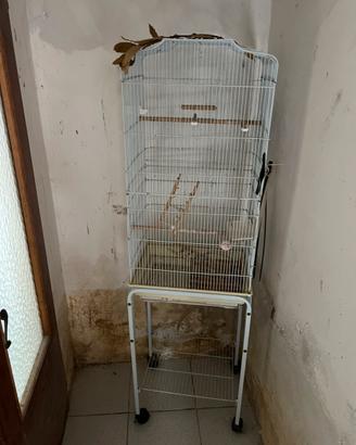 Gabbia a torre per pappagalli con carrello