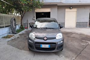 Fiat Panda 1.2 Easy PARI ALL NUOVO