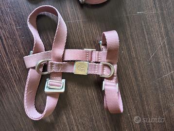 Pettorina rosa e guinzaglio