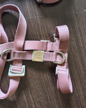 Pettorina rosa e guinzaglio