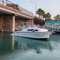 Cigala e Bertinetti Narvalo 25 