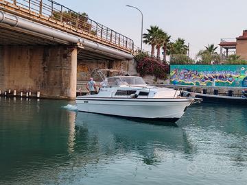 Cigala e Bertinetti Narvalo 25 