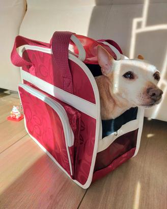 trasportino borsa per animali 