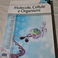 Molecole cellule e organismi