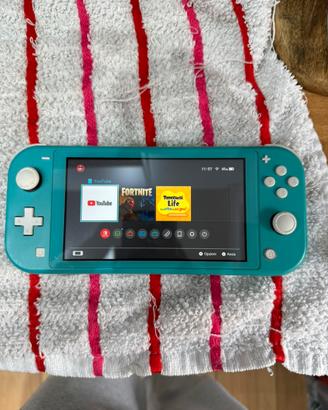 Nintendo switch lite