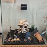 acquario