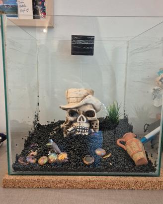 acquario