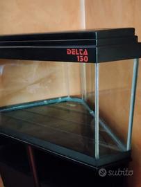 Acquario angolare