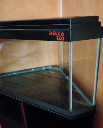 Acquario angolare