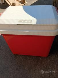 frigo  portatile  da picnic