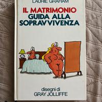Libro umoristico vintage