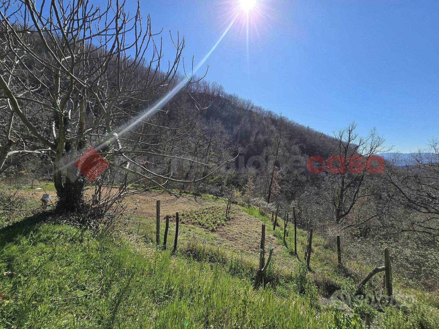 Terreno Agricolo Rieti [Cod. rif 3218243VRG] - Vista 5