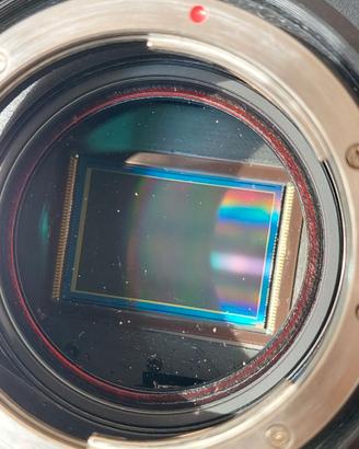 Central DS Canon 5D MarkIII