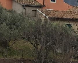Loc. pracchia rif b 853